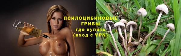 амф Балахна