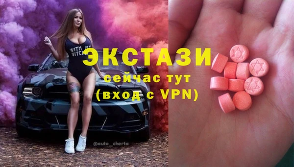 сатива Покачи