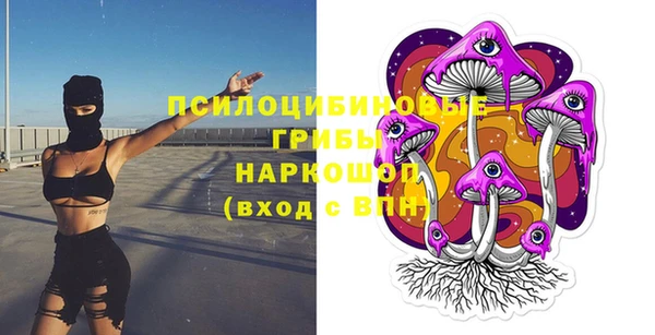 прущие крисы Белоозёрский