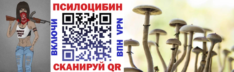 как найти наркотики Сегежа Галлюциногенные грибы мицелий